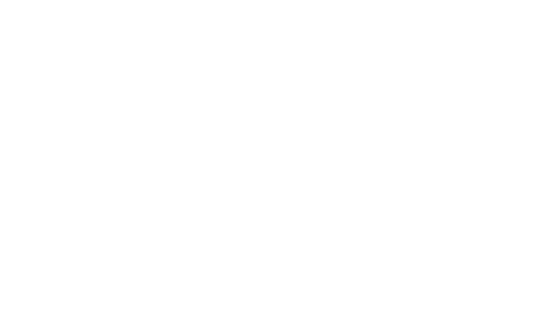 SegPulse Logo