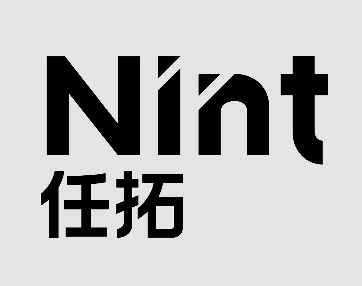 nint logo placeholder
